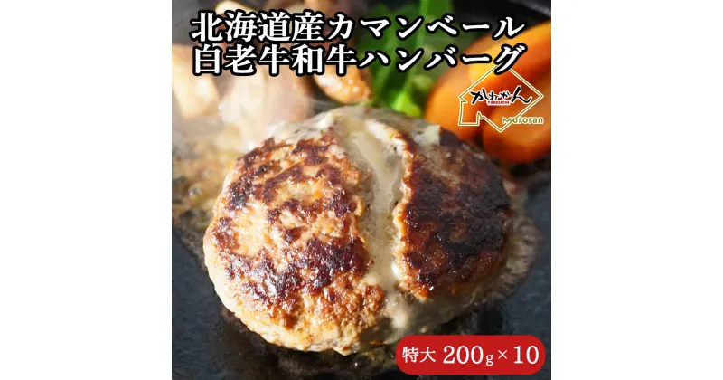 【ふるさと納税】道産和牛カマンベールチーズハンバーグ（200g）10個入り 【ふるさと納税 人気 おすすめ ランキング 北海道産 和牛 ダブルチーズ Wチーズ ハンバーグ 肉 肉厚 チーズ カマンベール デミグラス セット 大容量 詰合せ 北海道 室蘭市 送料無料】 MROA050