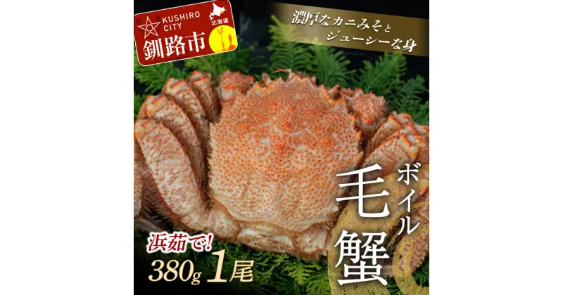 【ふるさと納税】【浜茹で！】 ボイル毛ガニ 380g （冷凍） ×1尾 北海道 釧路 ふるさと納税 蟹 かに カニ 毛蟹 毛がに 海の幸 海鮮 魚介 魚介類 ボイル 浜ゆで 茹で 海産物 F4F-5338