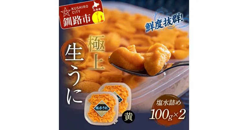 【ふるさと納税】【鮮度抜群！特選・極上えぞバフンうに【黄】】塩水詰め100g×2個 北海道 釧路 ふるさと納税 うに ウニ 雲丹 魚介類 海産物 F4F-0467