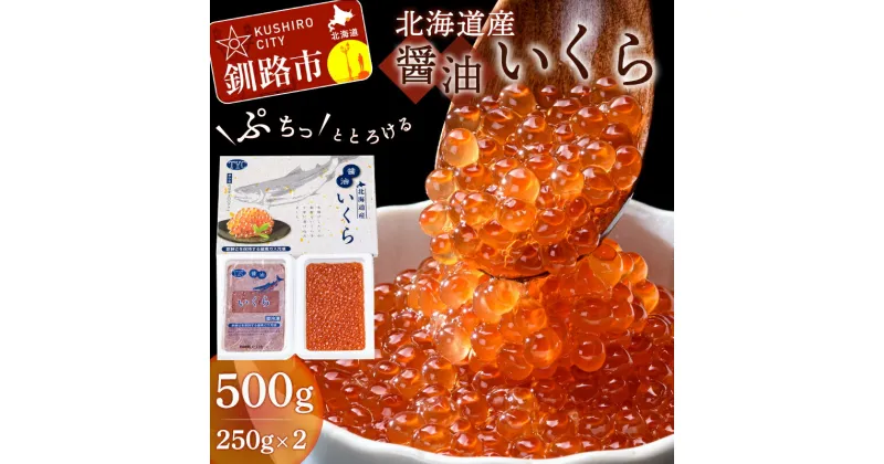 【ふるさと納税】北海道産醤油いくら 500g ふるさと納税 いくら 北海道産 いくら 小分け 250g x2 いくら醤油漬 海産 魚卵 F4F-1644