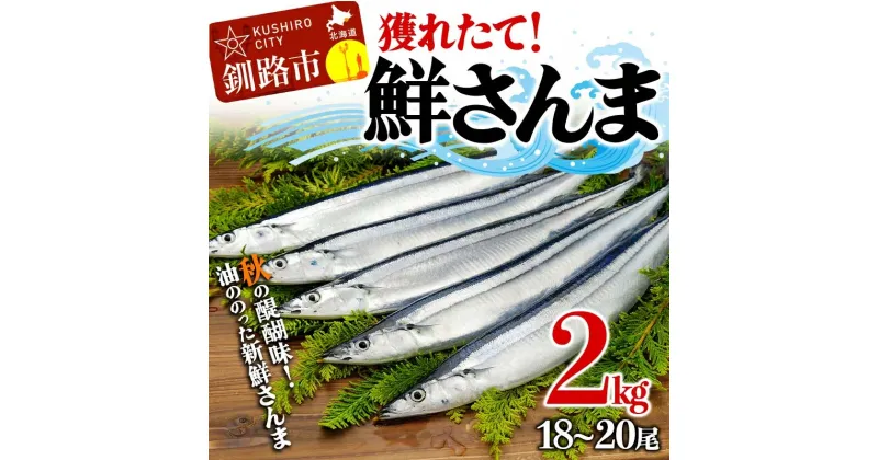 【ふるさと納税】獲れたて鮮さんま 2kg （18〜20尾）さんま 秋刀魚 サンマ 新鮮 魚 鮮魚 海産物 旬 北海道 釧路 F4F-3229