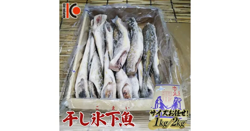 【ふるさと納税】＼選べる容量／干し氷下魚(サイズお任せ)1kg 1kg×2ケース こまい コマイ 魚 白身魚 おつまみ 肴 おかず F4F-2597var