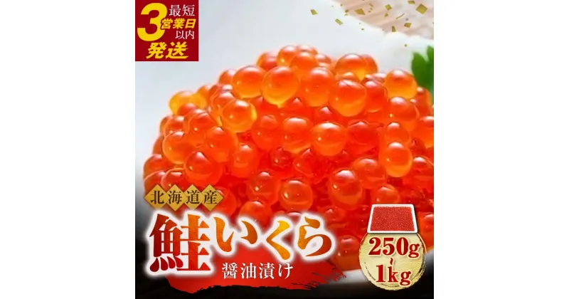 【ふるさと納税】 容量 × 発送時期が選べる 新物 北海道産 鮭 いくら 醤油漬け 250g 500g 750g 1kg 北海道 ふるさと納税 いくら いくら醤油漬け イクラ 丼 魚介類 海鮮 魚卵 F4F-5242var