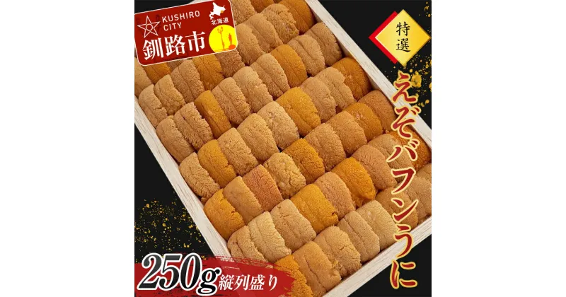 【ふるさと納税】高級・特選縦列盛えぞバフンうに250g ふるさと納税 うに 高級 ウニ 雲丹 エゾバフンウニ 大容量 贈答用 ギフト 北海道 釧路 F4F-3516