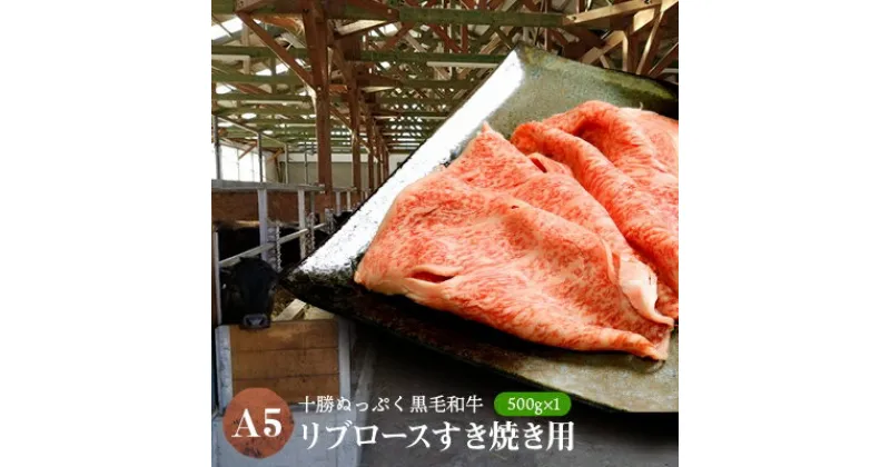 【ふるさと納税】十勝ぬっぷく黒毛和牛(A5)　リブロースすき焼き用500g×1【配送不可地域：離島】【1205348】