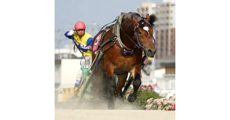 【ふるさと納税】【北海道帯広】世界にたったひとつ!ばんえい競馬　個人冠協賛レース【1205457】