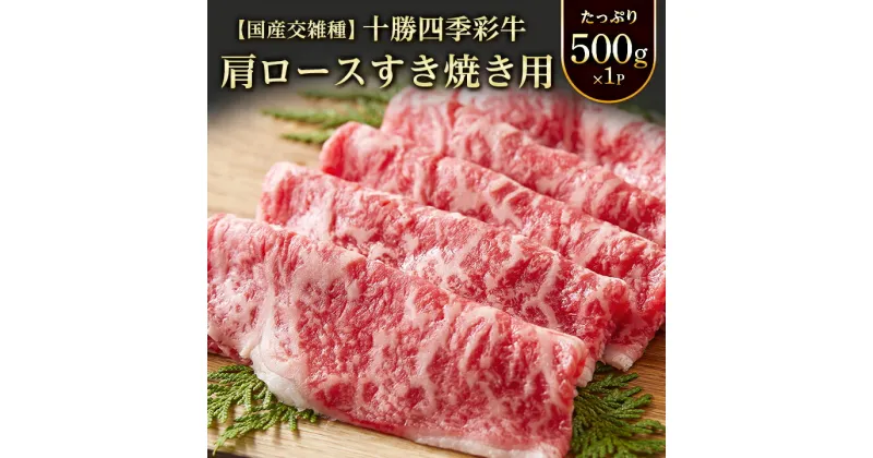 【ふるさと納税】十勝四季彩牛肩ロースすき焼き用(250g×2P)【国産交雑種】　【配送不可地域：離島】【1211791】