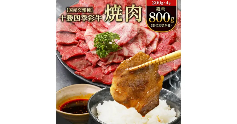 【ふるさと納税】十勝四季彩牛焼肉(部位おまかせ)総量800g(200g×4P)【国産交雑種】【配送不可地域：離島】【1211792】