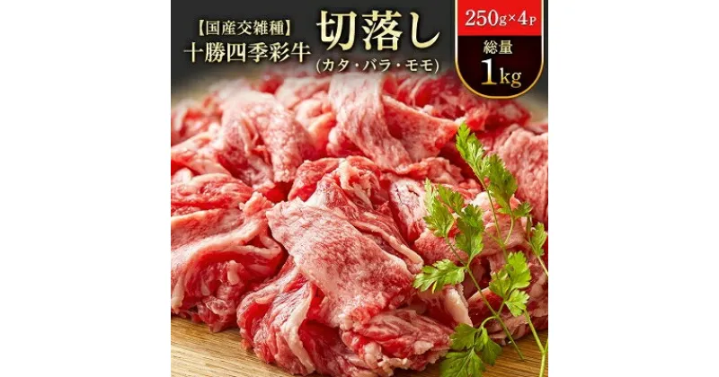 【ふるさと納税】十勝四季彩牛切落し(カタ・バラ・モモ)総量1kg(250g×4P)【国産交雑種】【配送不可地域：離島】【1211793】