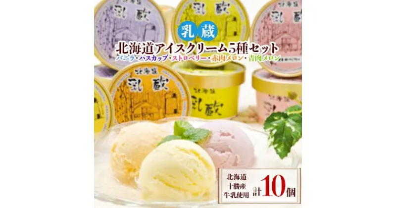 【ふるさと納税】乳蔵北海道アイスクリーム5種セット(計10個)(110130)【配送不可地域：離島】【1206078】