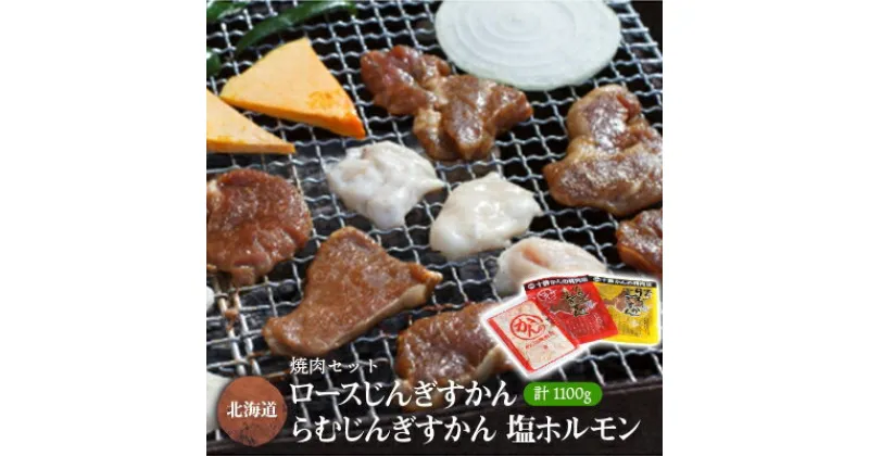 【ふるさと納税】焼肉セット (じんぎすかん2種、塩ホルモン) 計1.1kg 十勝 ジンギスカン ホルモン セット【配送不可地域：離島】【1232094】