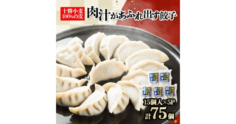 【ふるさと納税】十勝餃子手房にしかわの肉汁があふれ出す餃子セット　15個入×5パック【配送不可地域：離島】【1253086】