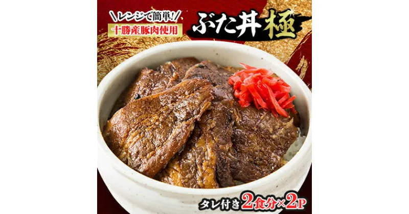 【ふるさと納税】レンジで簡単!冷凍ぶた丼極(肉100g×2、タレ15g×2入り)×2パックとぶた丼のタレセット【配送不可地域：離島】【1259606】