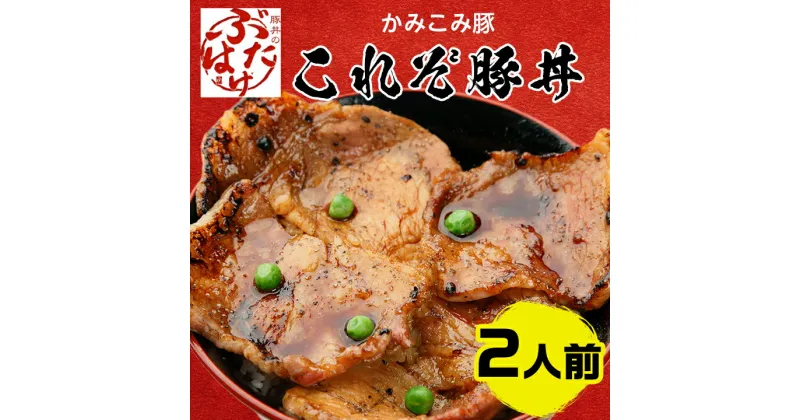 【ふるさと納税】豚丼のぶたはげ「これぞ豚丼 2人前」(ロース豚肉、豚丼のたれ、コショウ)【配送不可地域：離島】【1357286】