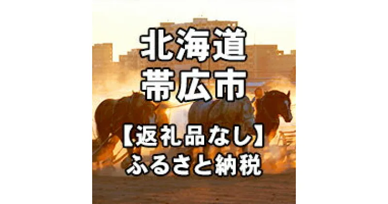 【ふるさと納税】北海道帯広市への寄付（返礼品はありません）