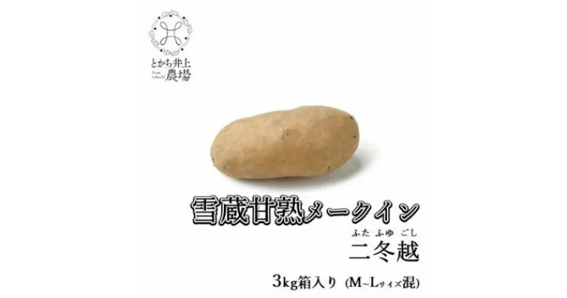 【ふるさと納税】雪蔵甘熟メークイン二冬越 3kg箱入り(M～Lサイズ混)【配送不可地域：離島】【1409988】