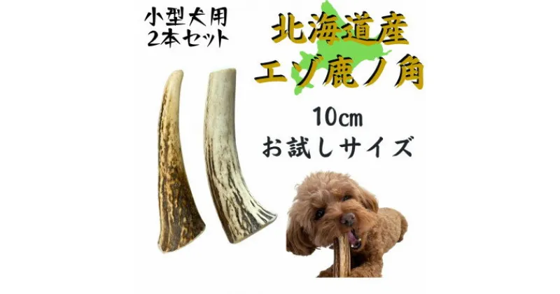 【ふるさと納税】鹿の角 お試しサイズ 10cm 2本 犬のおもちゃ デンタルケア 小型犬用【1415910】