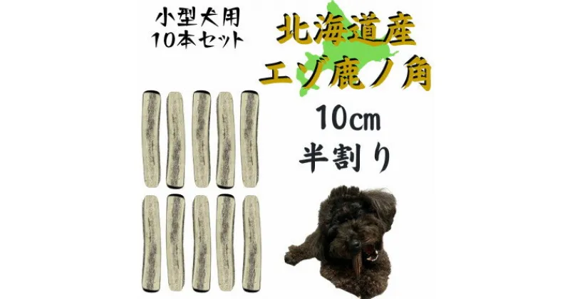 【ふるさと納税】鹿の角 半割り 10cm 10本 犬のおもちゃ デンタルケア 小型犬用【1415937】