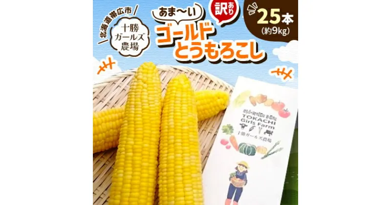 【ふるさと納税】先行予約【十勝ガールズ農場】訳あり 直送 朝もぎつぶつぶ「あま～いゴールドとうもろこし」25本【配送不可地域：離島】【1462031】