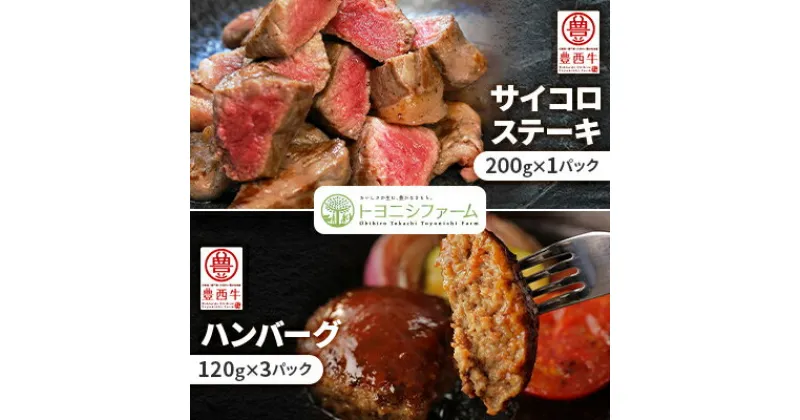 【ふるさと納税】豊西牛サイコロステーキとハンバーグセット【配送不可地域：離島】【1480993】