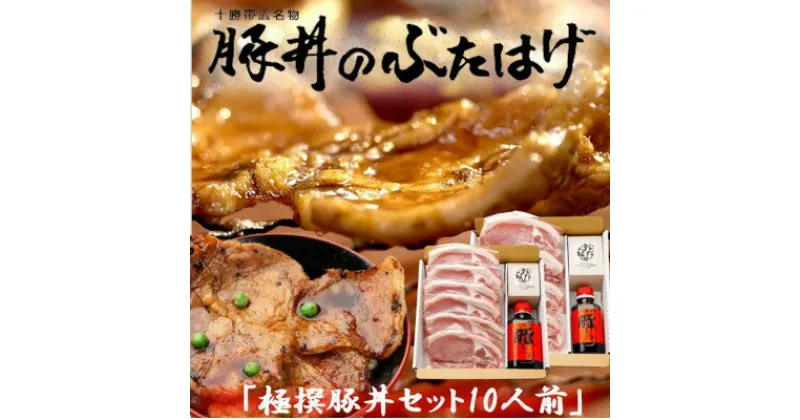 【ふるさと納税】豚丼のぶたはげ「極撰豚丼セット10人前」【配送不可地域：離島】【1482250】