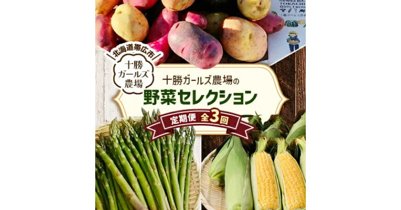 【ふるさと納税】【発送月固定定期便】直送!【北海道の定番便】十勝ガールズ農場の野菜セレクション全3回【配送不可地域：離島】【4012917】