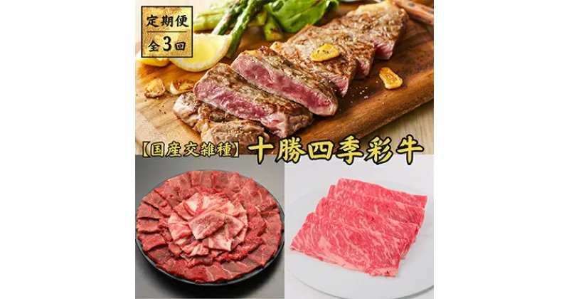 【ふるさと納税】【毎月定期便】十勝四季彩牛　焼肉・すき焼き・ステーキセット 全3回【配送不可地域：離島】【4012927】