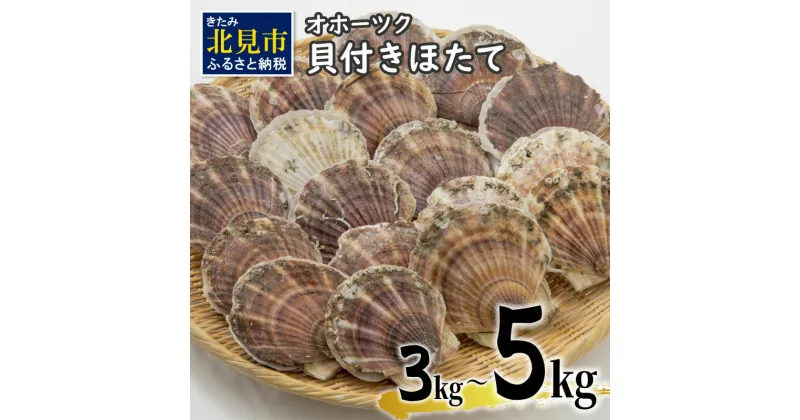 【ふるさと納税】【予約：2024年3月下旬から順次発送】オホーツク貝付きほたて 3kg 5kg (15枚～50枚)( 海鮮 魚介 魚介類 貝 貝類 ホタテ ほたて 帆立 殻付き 貝柱 贈答 ギフト 贈り物 お中元 お祝い BBQ バーベキュー )