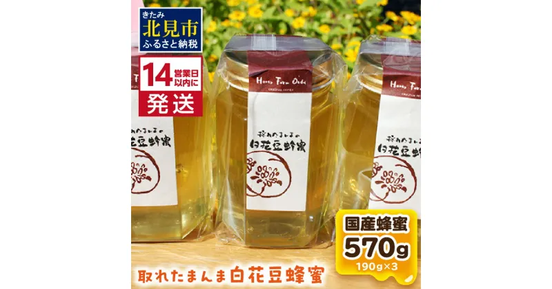 【ふるさと納税】《14営業日以内に発送》採れたまんまの白花豆蜂蜜 190g×3本セット ( 蜂蜜 はちみつ ハチミツ 蜜 甘い 白花豆 蜂 純粋蜂蜜 贅沢 国産 酸味 おいしい おやつ 天然 自然 )