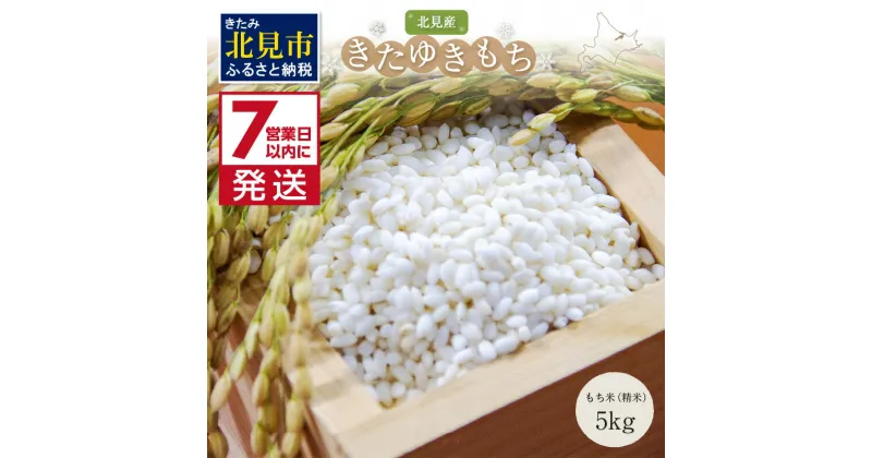 【ふるさと納税】《7営業日以内に発送》北海道産きたゆきもち 精白米 5kg ( 米 お米 モチ米 もち米 赤飯 ぼたもち おはぎ おこわ 美味しい 北海道 )