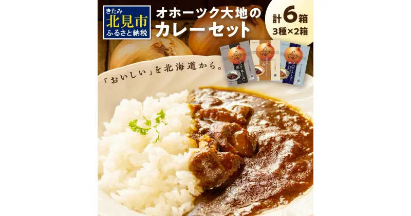 【ふるさと納税】オホーツク生まれの絶品カレー！オホーツク大地のカレーセット ( レトルト 加工品 カレー セット 詰め合わせ )