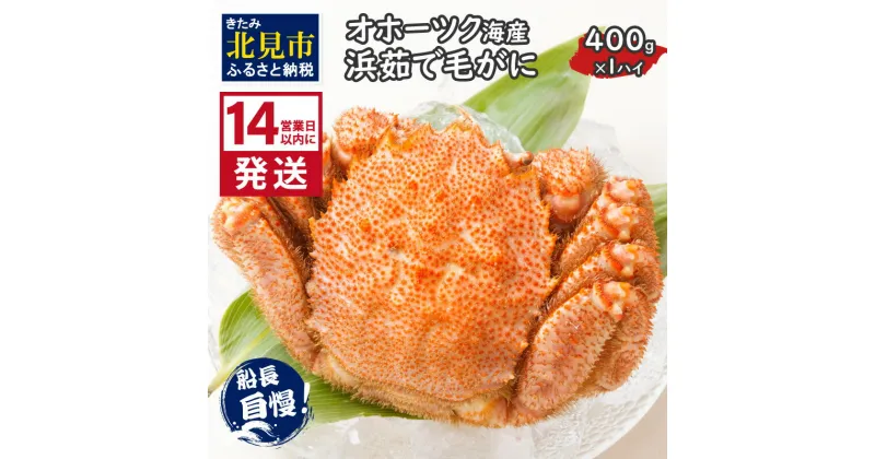 【ふるさと納税】《14営業日以内に発送》オホーツク海産 浜茹で毛がに 400g×1パイ 冷凍 ( かに カニ 毛ガニ 魚介類 蟹 )