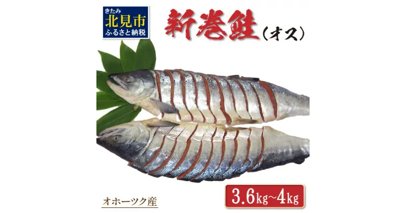 【ふるさと納税】オホーツク産新巻鮭 オス 切身 約3.6～4kg ( さけ サケ 切り身 パック 小分け 真空パック 塩漬け 鮭 ムニエル 甘塩 フライ ホイル焼き ふるさと納税 魚介類 魚 海鮮 )