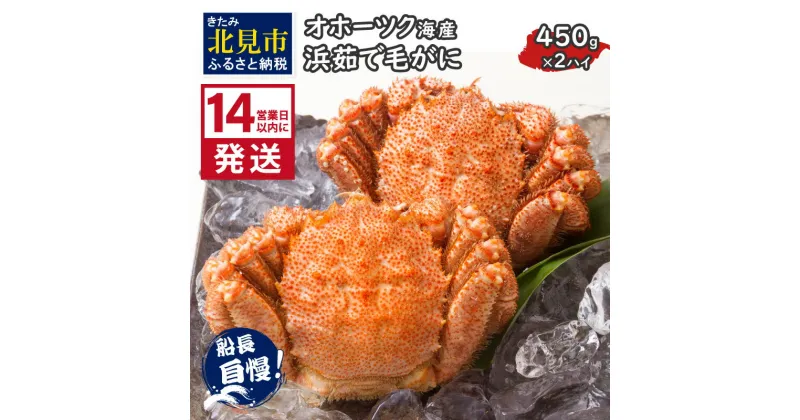 【ふるさと納税】《14営業日以内に発送》オホーツク海産 浜茹で毛がに 450g×2ハイ 冷凍 ( かに カニ 毛ガニ 魚介類 蟹 )