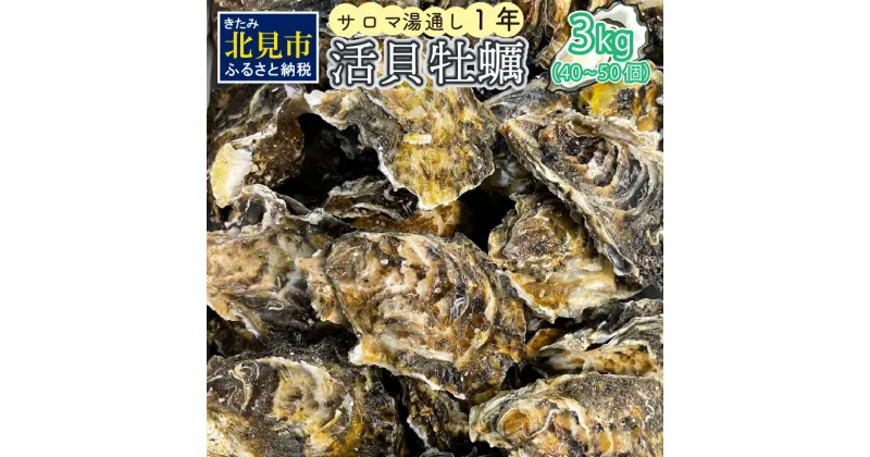 【ふるさと納税】【予約：2024年11月上旬から順次発送】サロマ湖湯通し1年 活貝牡蠣3キロ 40～50個 ( カキ 魚介類 期間限定 3kg )