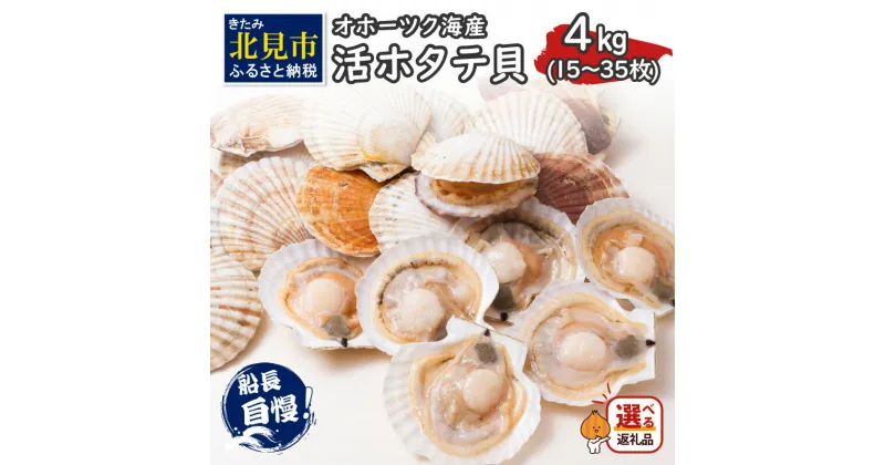 【ふるさと納税】とれたて新鮮！オホーツク海産 活ホタテ貝 4kg 15～35枚 ( ふるさと納税 ホタテ ふるさと納税 帆立 ふるさと納税 ほたてふるさと納税 貝 殻付き 魚介 海鮮 4キロ カレー シチュー 肉厚 バーベキュー 北見市 )