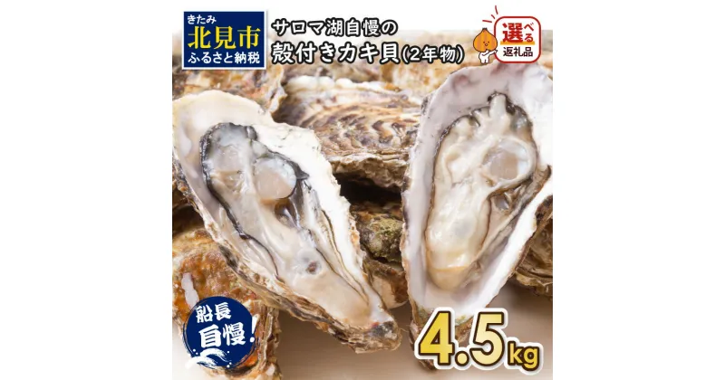 【ふるさと納税】【予約】サロマ湖自慢の殻付きカキ貝 2年物 4.5kg詰め ( ふるさと納税 牡蠣 ふるさと納税 カキ かき 濃厚 魚介類 貝類 カキ 北見市 BBQ 選べる 配送月 発送時期が選べる 数量限定 )