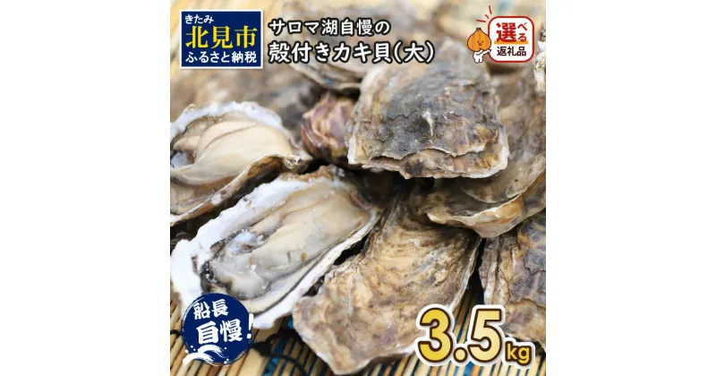 【ふるさと納税】【予約】サロマ湖自慢の殻付きカキ貝 大 3.5kg詰め ( ふるさと納税 カキ ふるさと納税 牡蠣 ふるさと納税 かき 濃厚 大きい 魚介類 貝類 殻付 殻付き牡蠣 BBQ バーベキュー 数量限定 )