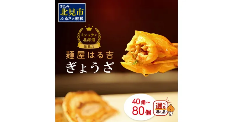 【ふるさと納税】【選べる内容量】ミシュラン北海道掲載店！麺屋はる吉のぎょうざ 40個 80個 ( 加工品 餃子 ぎょうざ 北海道 ふるさと納税 選べる ギョーザ )