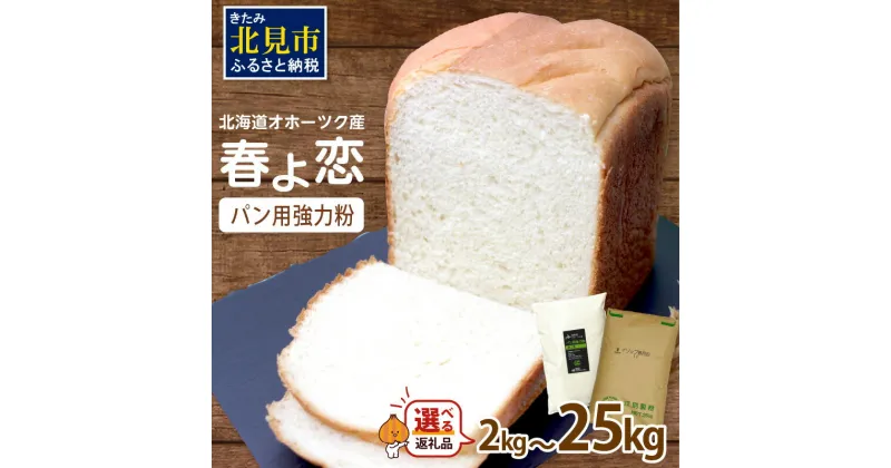 【ふるさと納税】【北海道オホーツク産】パン用強力粉 春よ恋 2kg 4kg 25kg 定期便(4kg×3回)　※賞味期限30日保証 ( パン用強力粉 北海道産 小麦粉 パン 製パン )