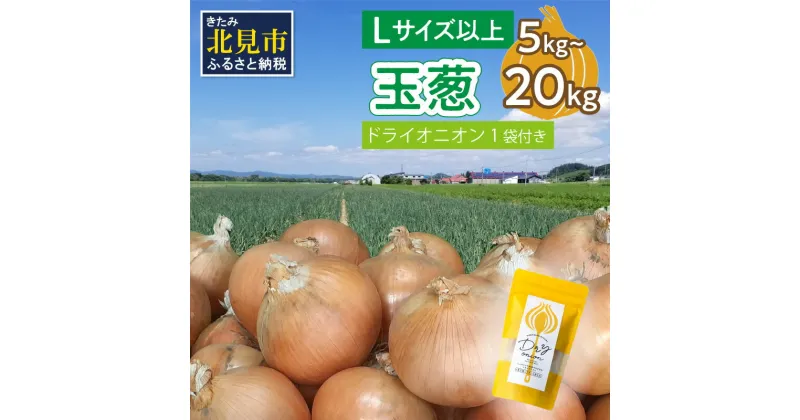 【ふるさと納税】【予約】玉葱 5kg 10kg 20kg Lサイズ以上 北見ドライオニオン1袋付き ( 玉ねぎ たまねぎ 5キロ 10キロ 20キロ ドライオニオン セット ふるさと納税 北見市 選べる 配送月 発送時期が選べる )