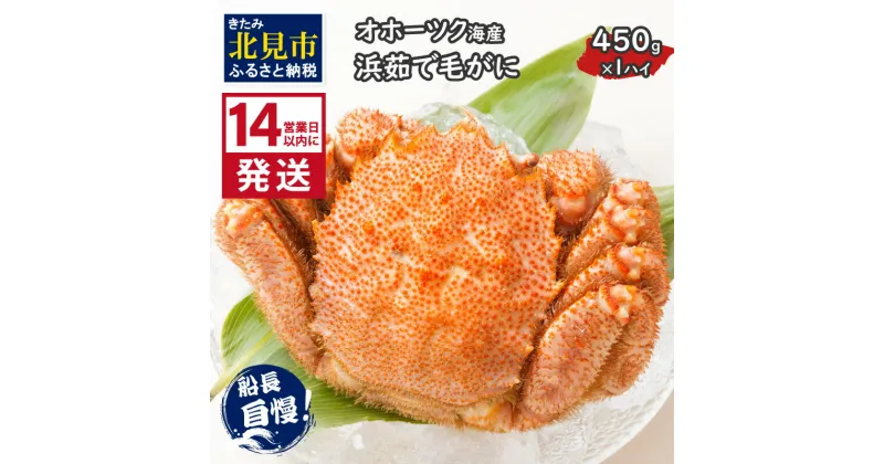 【ふるさと納税】《14営業日以内に発送》オホーツク海産 浜茹で毛がに 450g×1パイ 冷凍 ( かに カニ 毛ガニ 魚介類 蟹 )