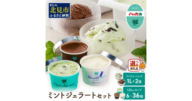 【ふるさと納税】【選べる内容量】ミントジェラート カップ 6個 12個 36個 120ml 1L ( ジェラート アイス アイスクリーム ハッカ チョコ ミント ミントアイス スイーツ チョコチップミント 選べる ファミリーパック カカオ カップアイス ふるさと納税 )