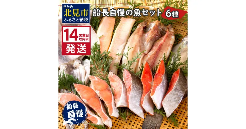 【ふるさと納税】《14営業日以内に発送》船長自慢の海鮮セット ( ふるさと納税 海鮮セット ふるさと納税 海鮮 魚介類 ホッケ ナメタガレイ いか サーモン 鮭 時鮭 紅鮭 贈答お中元 のし 熨斗 )