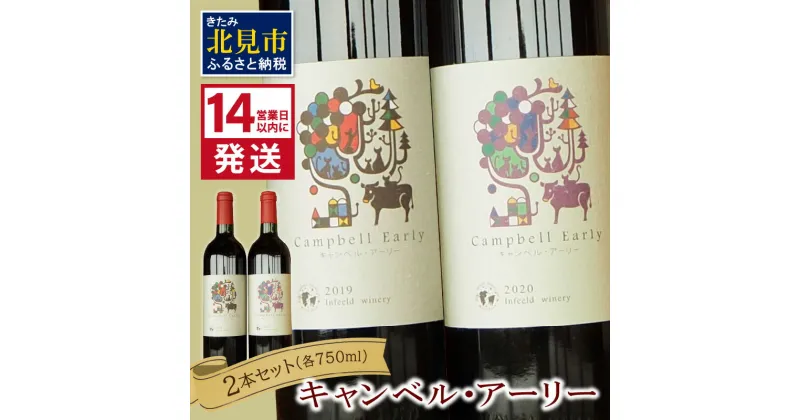 【ふるさと納税】《14営業日以内に発送》キャンベル・アーリー2本セット ( ワイン お酒 酒 ぶどう セット )