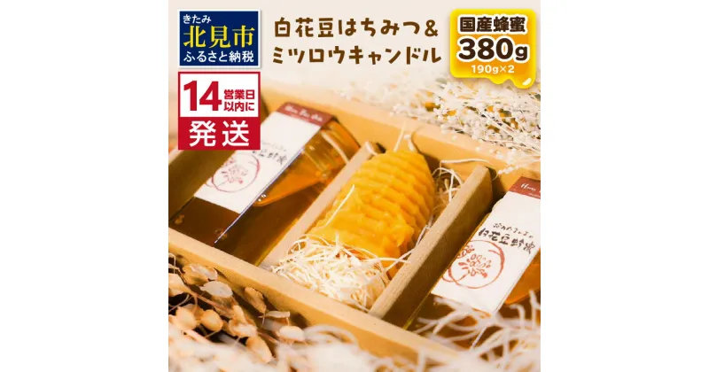 【ふるさと納税】《14営業日以内に発送》【国産蜂蜜】白花豆はちみつ 190g×2個 と ミツロウキャンドル 1個 ( はちみつ 蜂蜜 ハチミツ 白花豆 ミツロウ キャンドル ロウソク ろうそく )