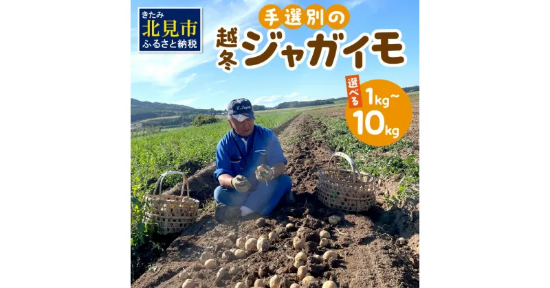 【ふるさと納税】【予約：2025年2月上旬から順次発送】【選べる3サイズ】宇野さんの手拾い、手選別の越冬ジャガイモ 1～10kg ( 芋 野菜 選べる 1kg 2kg 5kg 10kg )