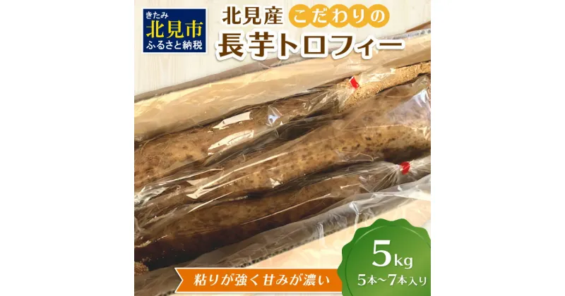 【ふるさと納税】【予約：2024年11月下旬から順次発送】北見産 こだわりの長芋トロフィー 5kg箱 ( 長いも ながいも 野菜 数量限定 期間限定 5キロ )