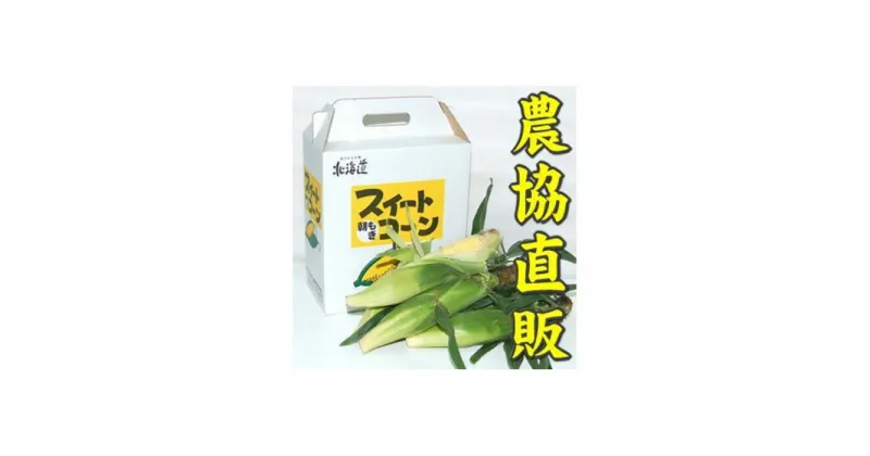 【ふるさと納税】【令和7年度出荷先行予約！】北海道岩見沢市産とうもろこし2Lサイズ10本【11111】