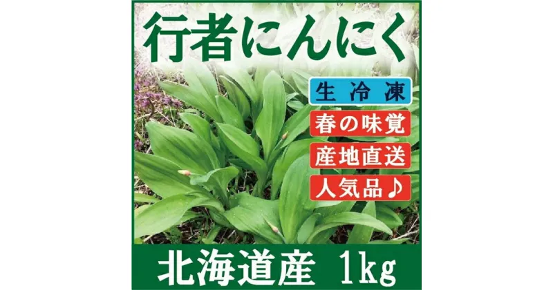 【ふるさと納税】【北海道岩見沢市産】令和6年産 行者にんにく葉(冷凍) 1kg【09118】